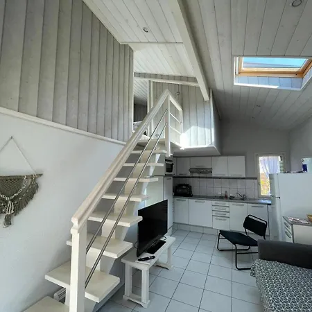 Villa Capbreton, 3 Pieces, 5 Personnes - Fr-1-413-219 Otel 2*